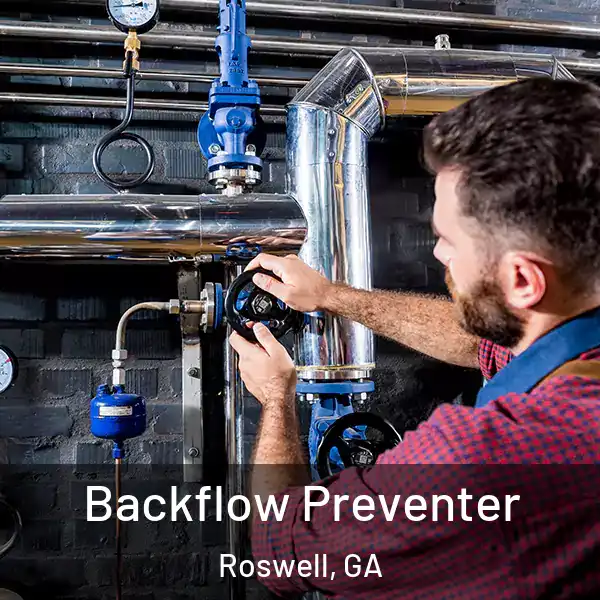  Backflow Preventer Roswell, GA