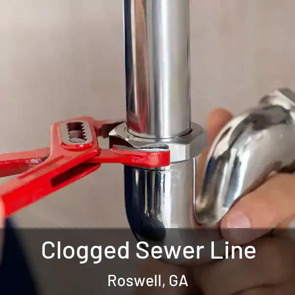  Clogged Sewer Line Roswell, GA