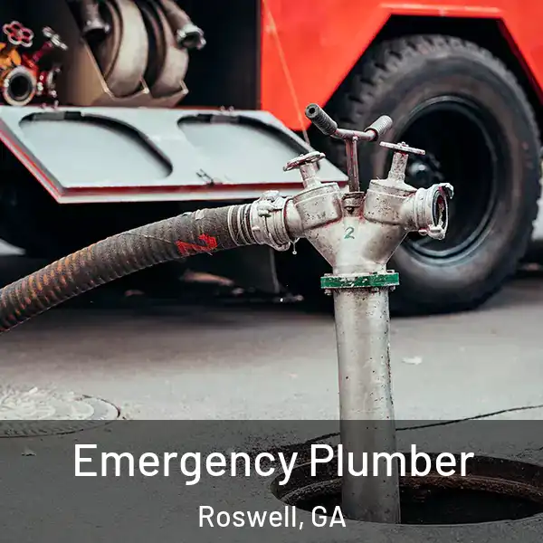  Emergency Plumber Roswell, GA
