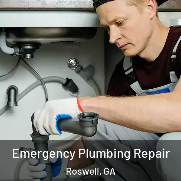  Emergency Plumbing Repair Roswell, GA