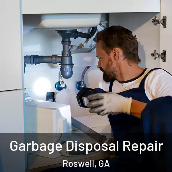  Garbage Disposal Repair Roswell, GA