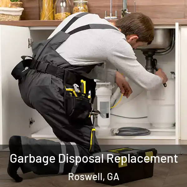  Garbage Disposal Replacement Roswell, GA