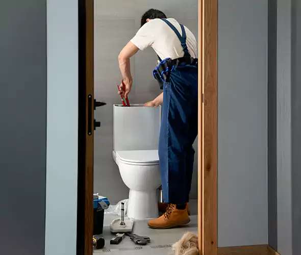 Professional Plumbers for Toilet Bowl Replacement in Roswell, GA: Schedule Affordable Toilet Replacement Services With Us