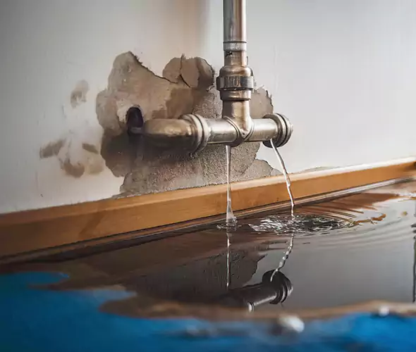 Professional Water Damage Restoration Experts in Roswell, GA — Fast, Reliable & Certified