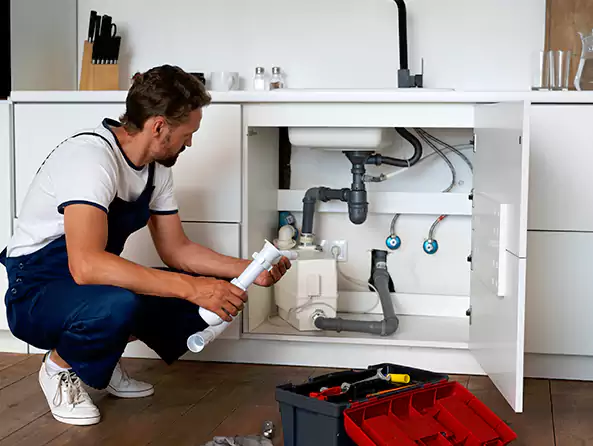 Why Choose Roswell Plumbing Pros for Insinkerator Installation in Roswell, GA?