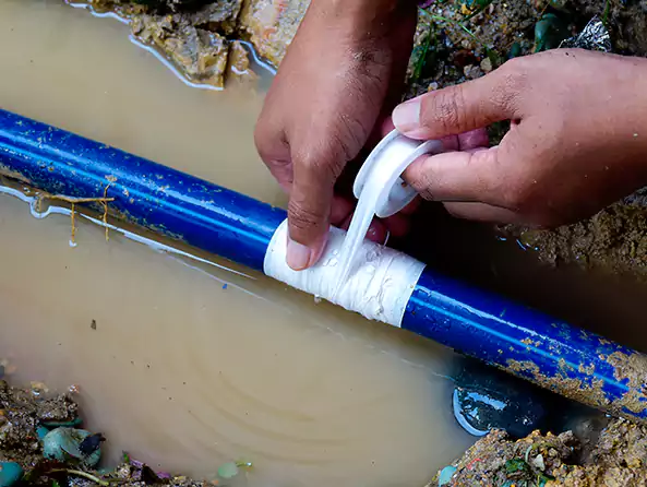  Why Choose Roswell Plumbing Pros for Leak Detection in Roswell, GA?]