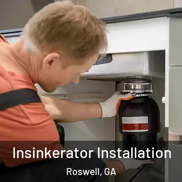  Insinkerator Installation Roswell, GA