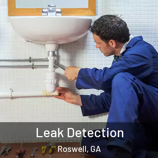  Leak Detection Roswell, GA