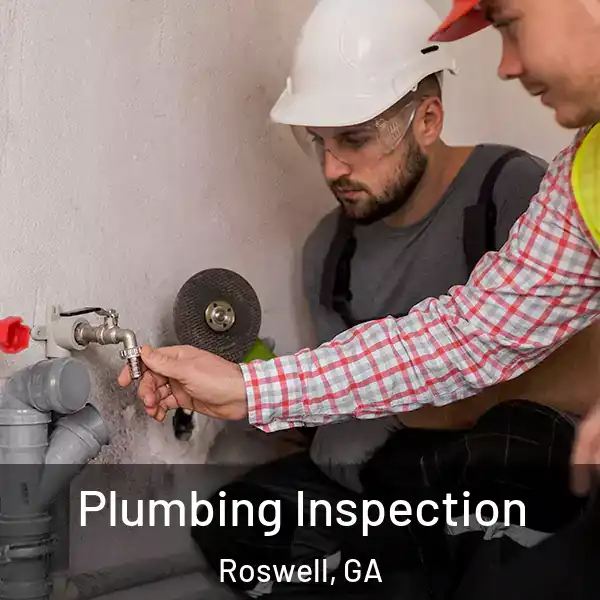  Plumbing Inspection Roswell, GA