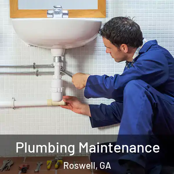  Plumbing Maintenance Roswell, GA
