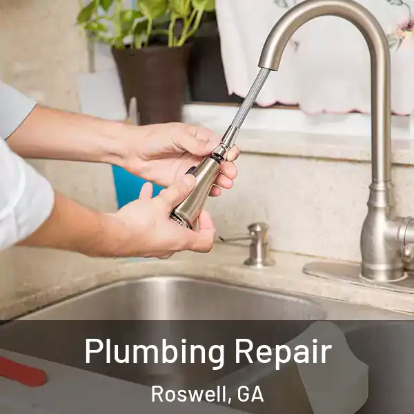  Plumbing Repair Roswell, GA