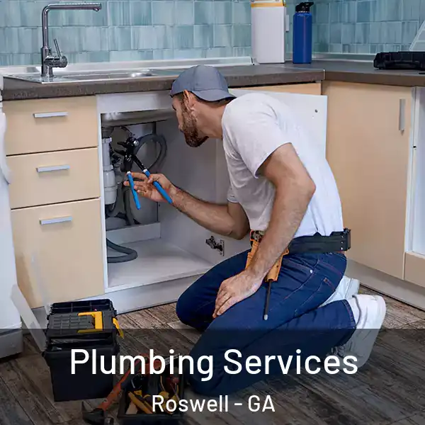  Plumbing Services Roswell - GA