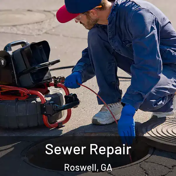  Sewer Repair Roswell, GA