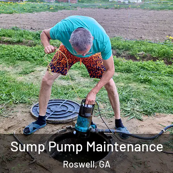  Sump Pump Maintenance Roswell, GA