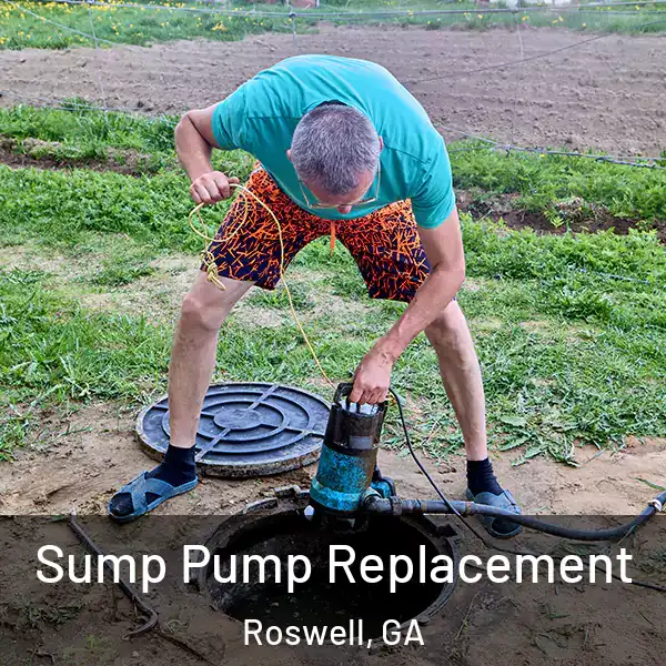  Sump Pump Replacement Roswell, GA