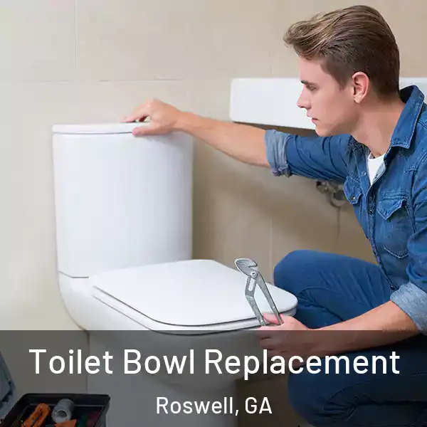  Toilet Bowl Replacement Roswell, GA