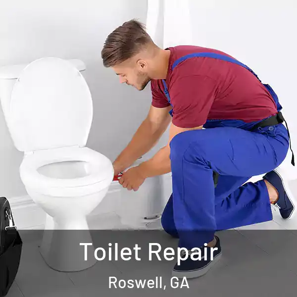  Toilet Repair Roswell, GA
