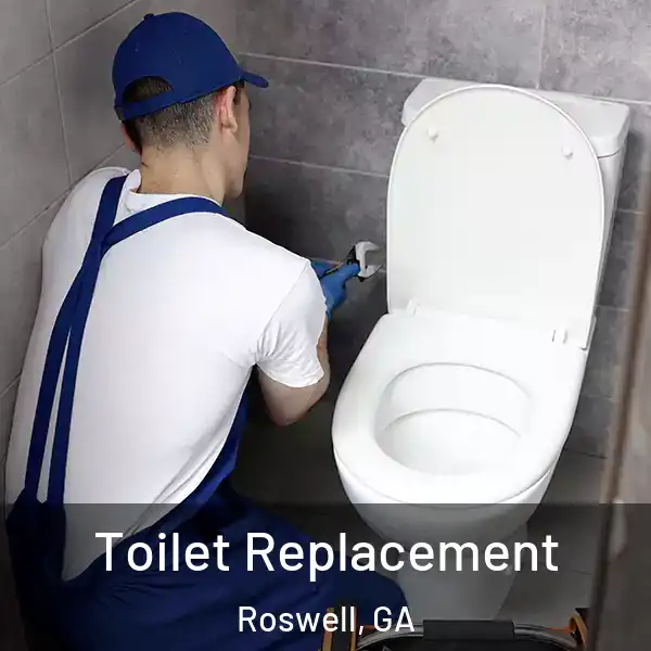  Toilet Replacement Roswell, GA
