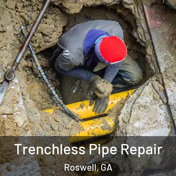  Trenchless Pipe Repair Roswell, GA
