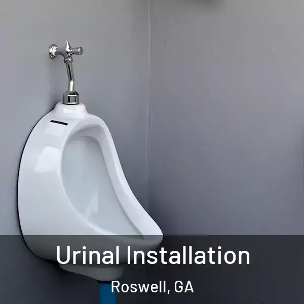 Urinal Installation Roswell, GA