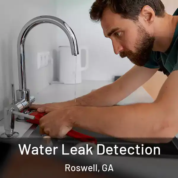  Water Leak Detection Roswell, GA