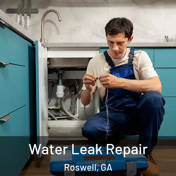  Water Leak Repair Roswell, GA